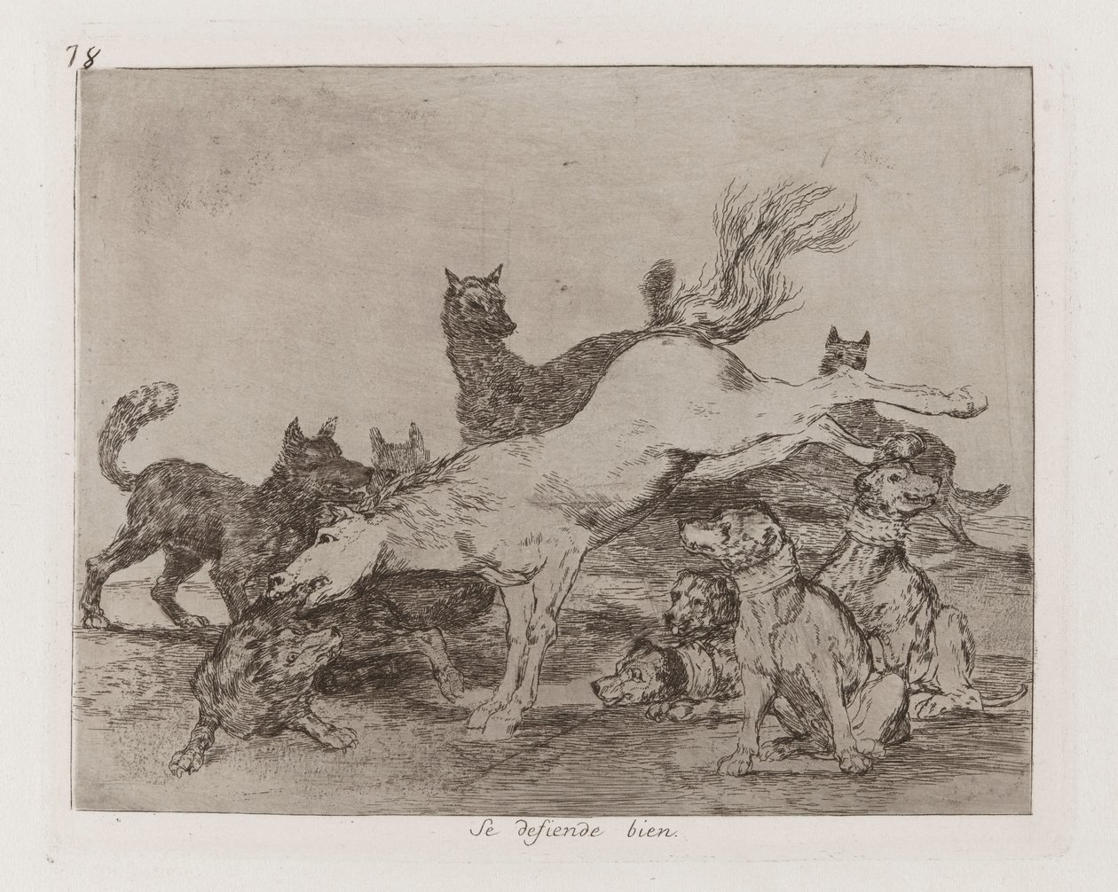 Se defiende bien, Tavola 78 da Los desastres de la guerra da Francisco de Goya