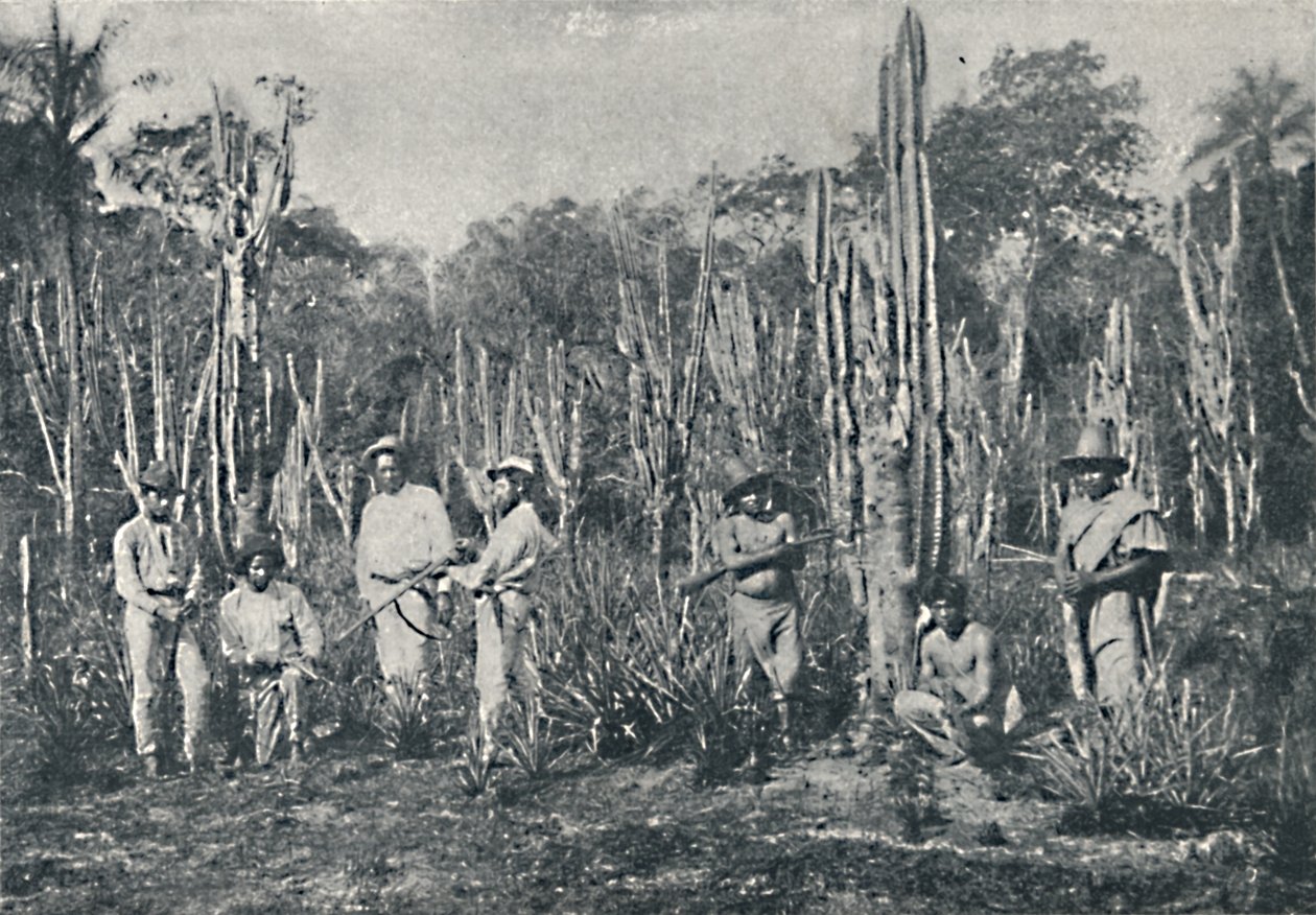 Campos, 1895 da Francisco Henszler