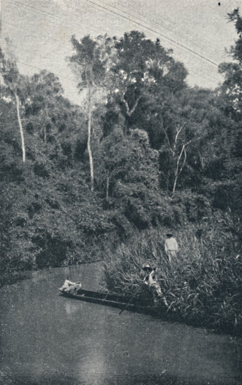 Rio de S. Anastacio, 1895 da Francisco Henszler