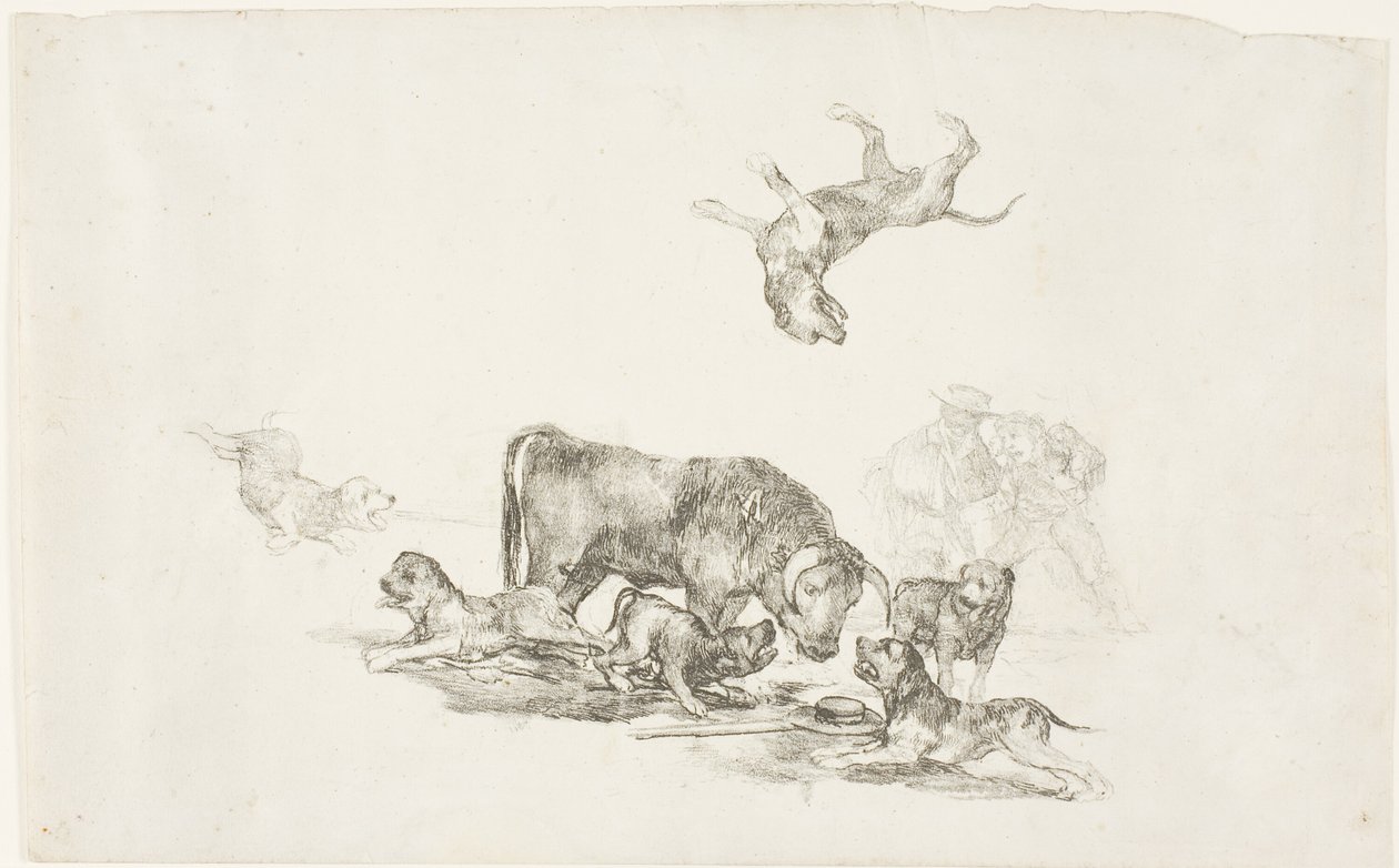 Toro attaccato dai cani da Francisco Jose de Goya y Lucientes
