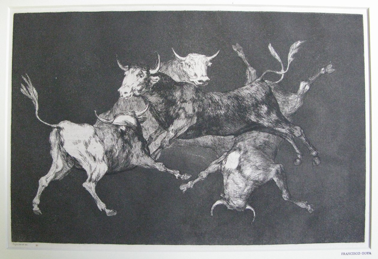 Disparate de tontos da Francisco Jose de Goya y Lucientes