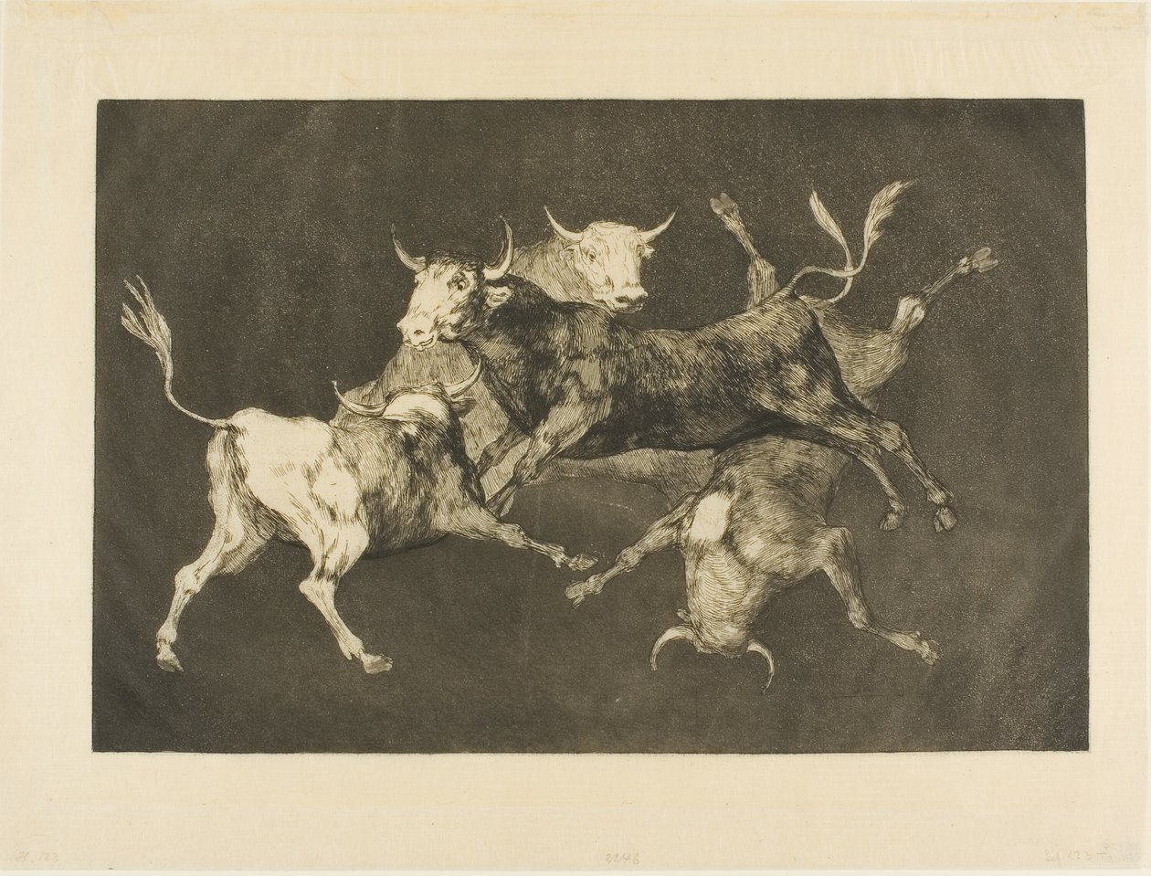 La follia dello sciocco, da Disparates da Francisco Jose de Goya y Lucientes