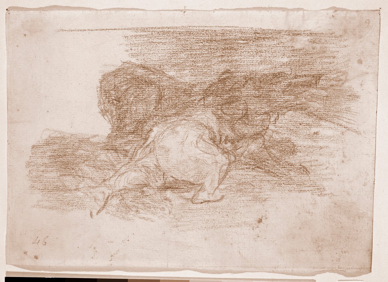 I disastri della guerra: Ne raccoglie alcuni benefici da Francisco de Goya