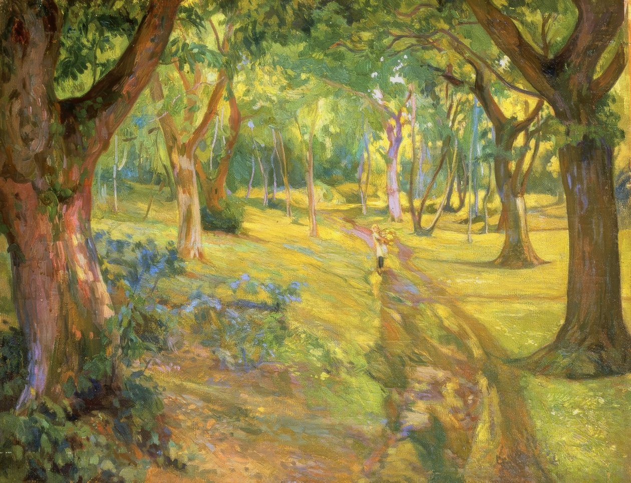 Il bosco da Francisco Llorens Diaz