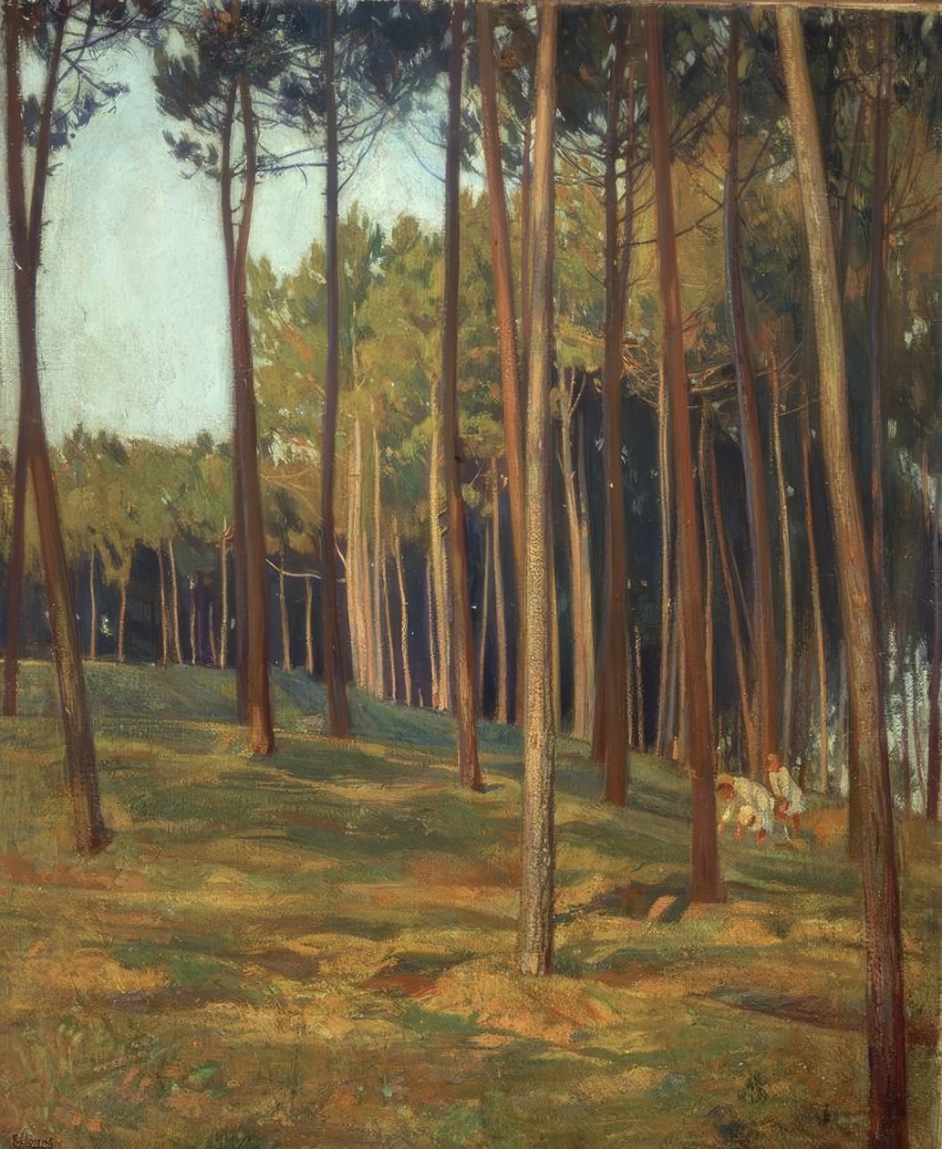 Il pino rosso da Francisco Llorens Diaz