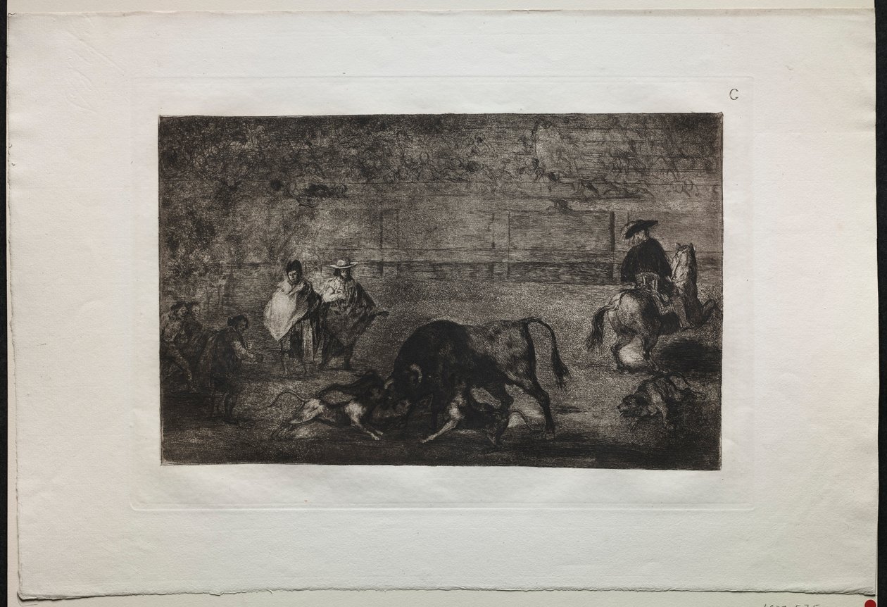 Corride: Il cane liberato sul toro, 1876 da Francisco de Goya
