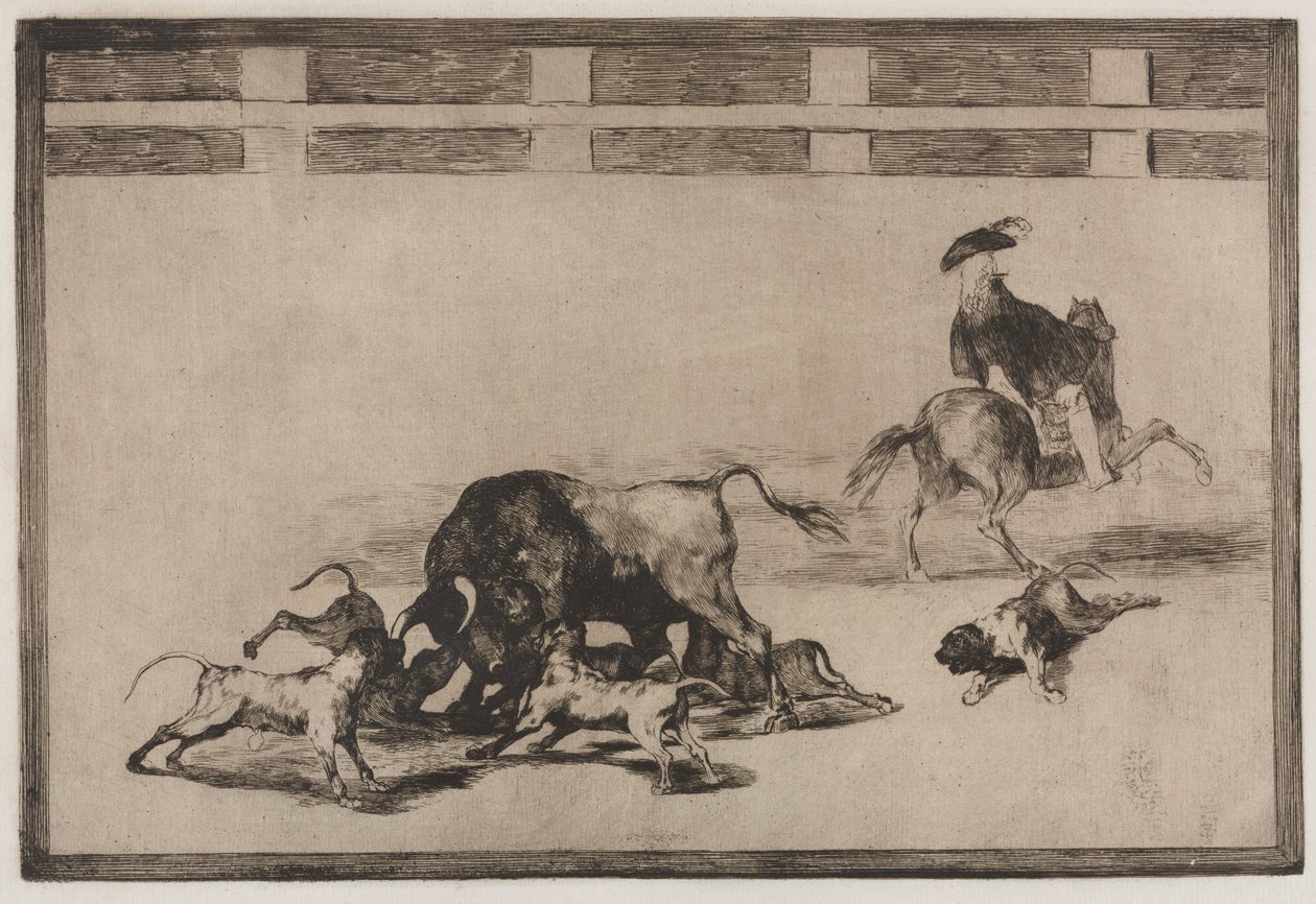 Corride: liberano i cani sul toro, 1876 da Francisco de Goya