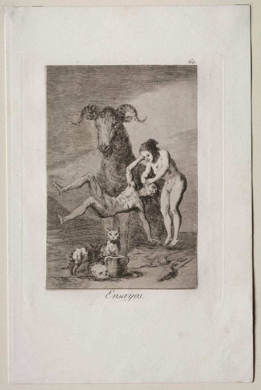 Caprichos: Prove da Francisco de Goya