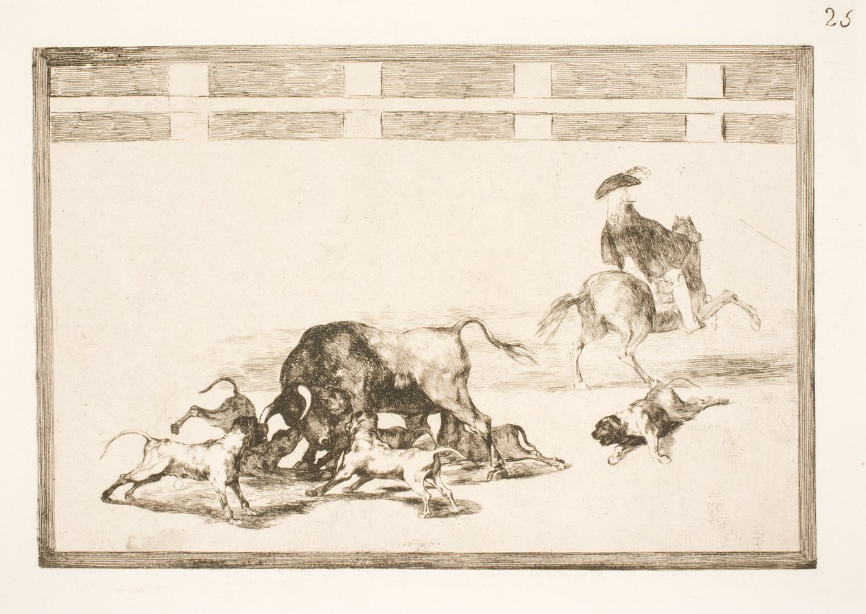 Stanno mettendo i cani contro il toro da Francisco de Goya