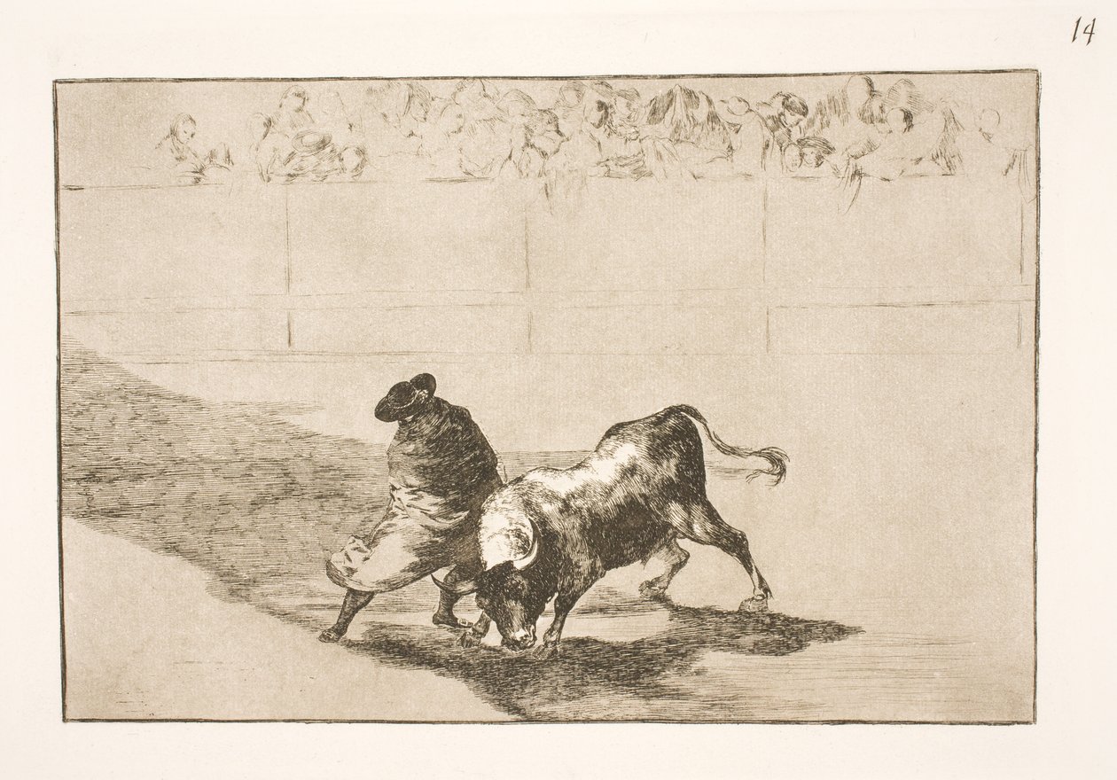 Il molto talentuoso allievo di Falces, celebrato nel suo mantello, inganna il toro con i movimenti del suo corpo da Francisco de Goya