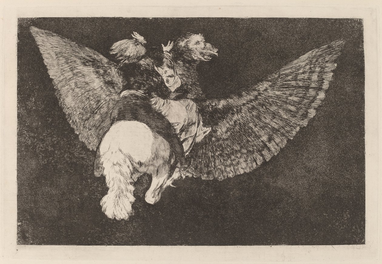 Follia volante da Francisco de Goya