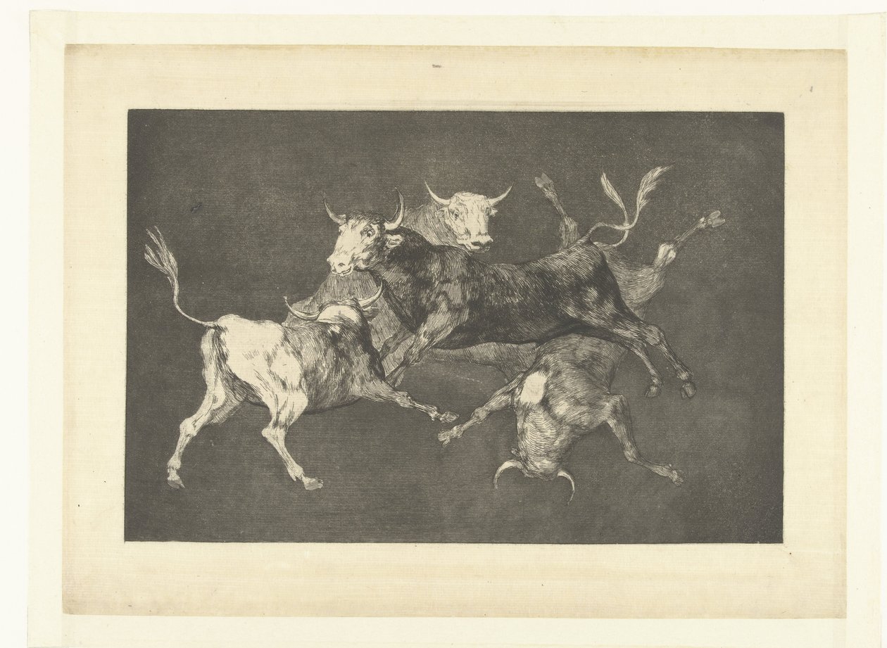 Follia dei piccoli tori da Francisco de Goya