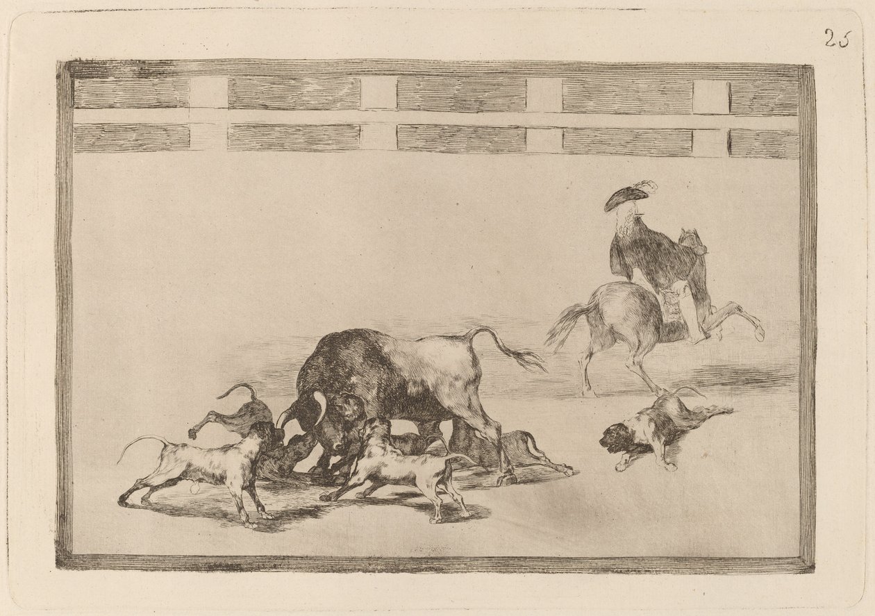 Liberano i cani sul toro da Francisco de Goya