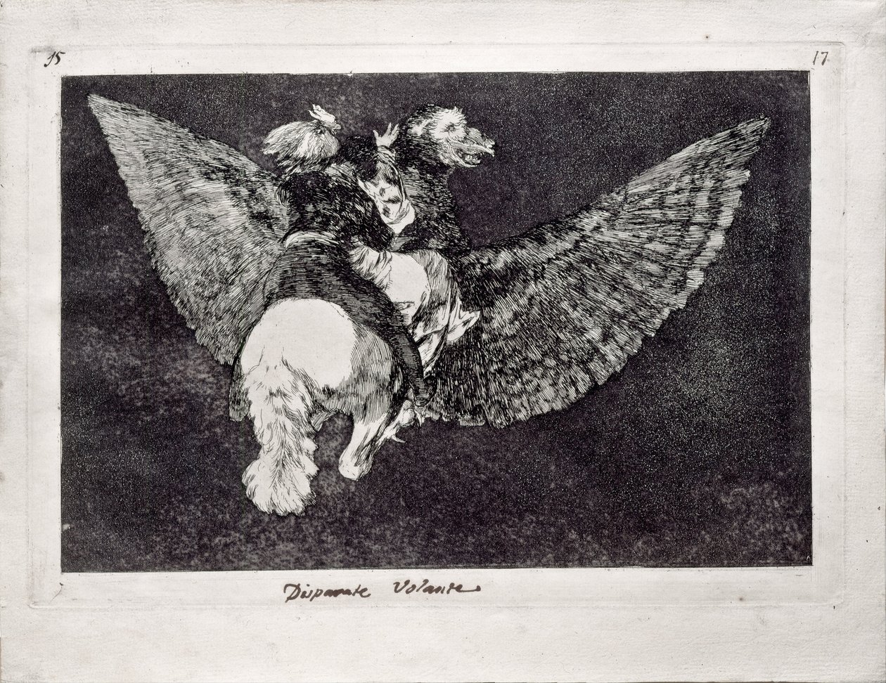 Follia Volante dalla serie Los Disparates Follies, 1815-1819 da Francisco de Goya