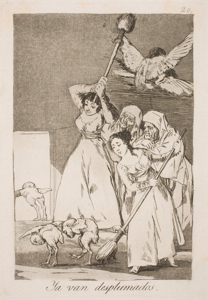 Qui sono stati raccolti tutte le piume da Francisco de Goya