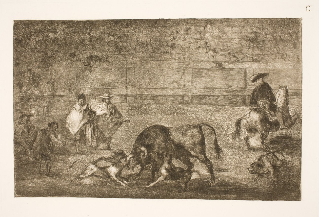 Cani lanciati contro il toro da Francisco de Goya
