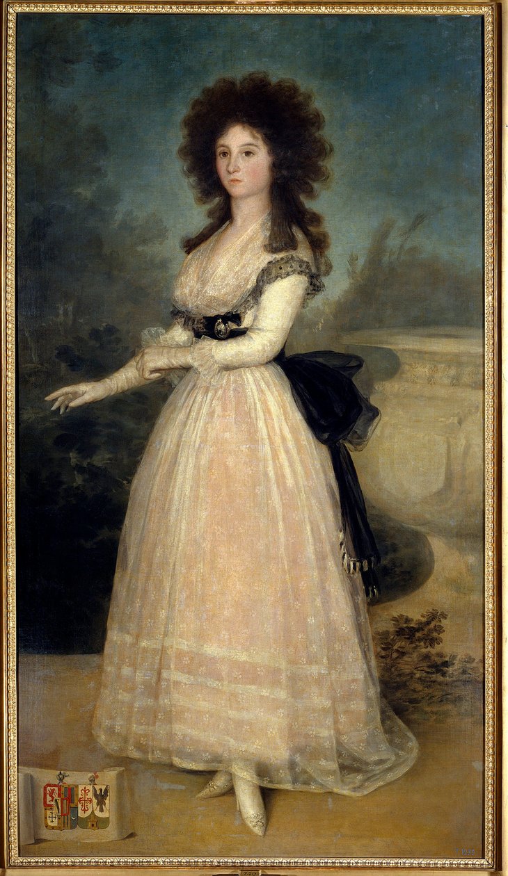 Ritratto intero di Dona Tadea Arias de Enriquez da Francisco de Goya