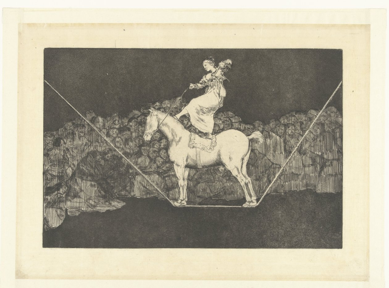 Follia precisa da Francisco de Goya
