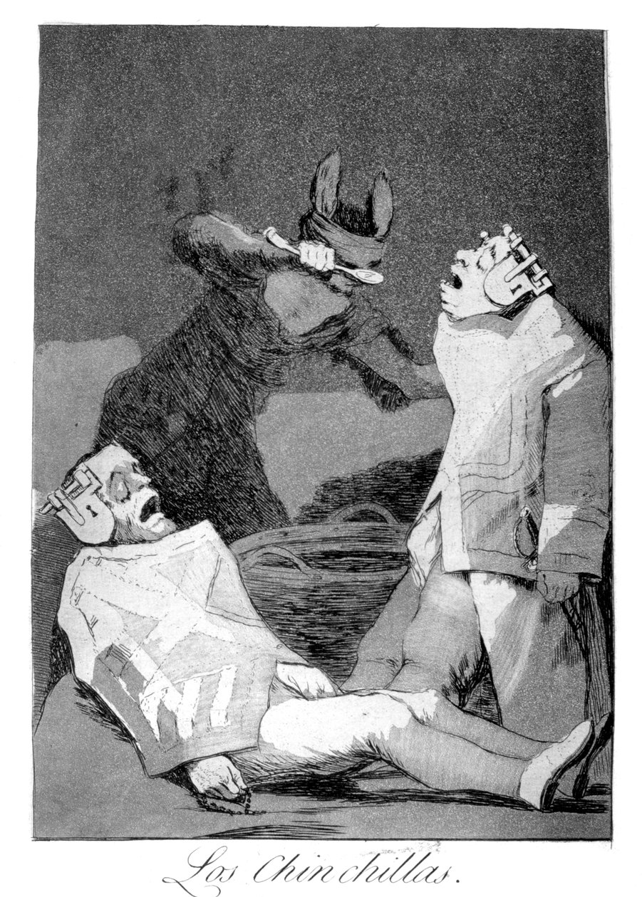I cincillà, 1799 da Francisco de Goya