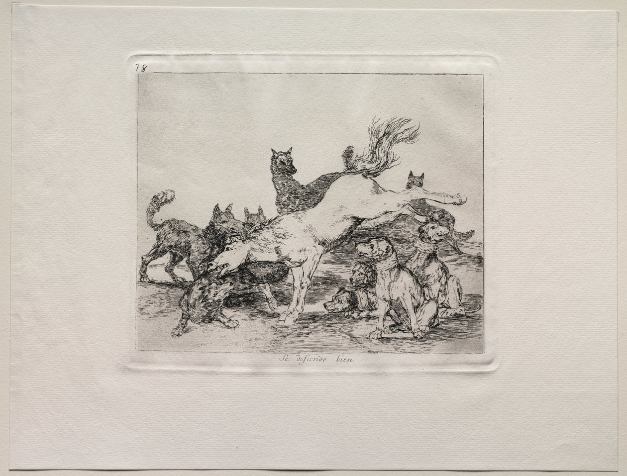 Gli orrori della guerra: Si difende bene da Francisco de Goya