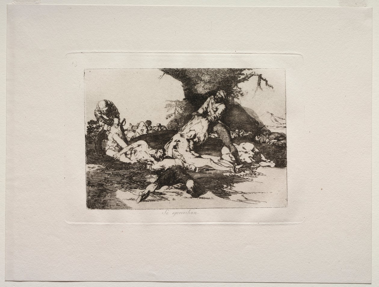 Gli orrori della guerra: Ne fanno uso da Francisco de Goya