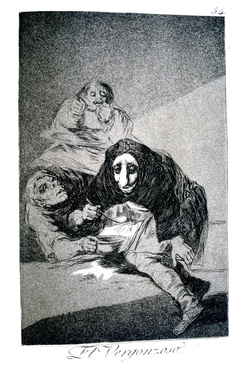 Il timido da Francisco de Goya
