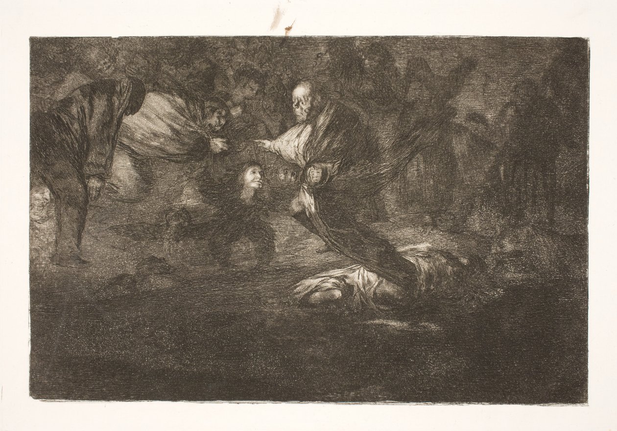 Il Signore li crea, e finiscono in bella unione / Uccelli con le stesse piume volano insieme da Francisco de Goya