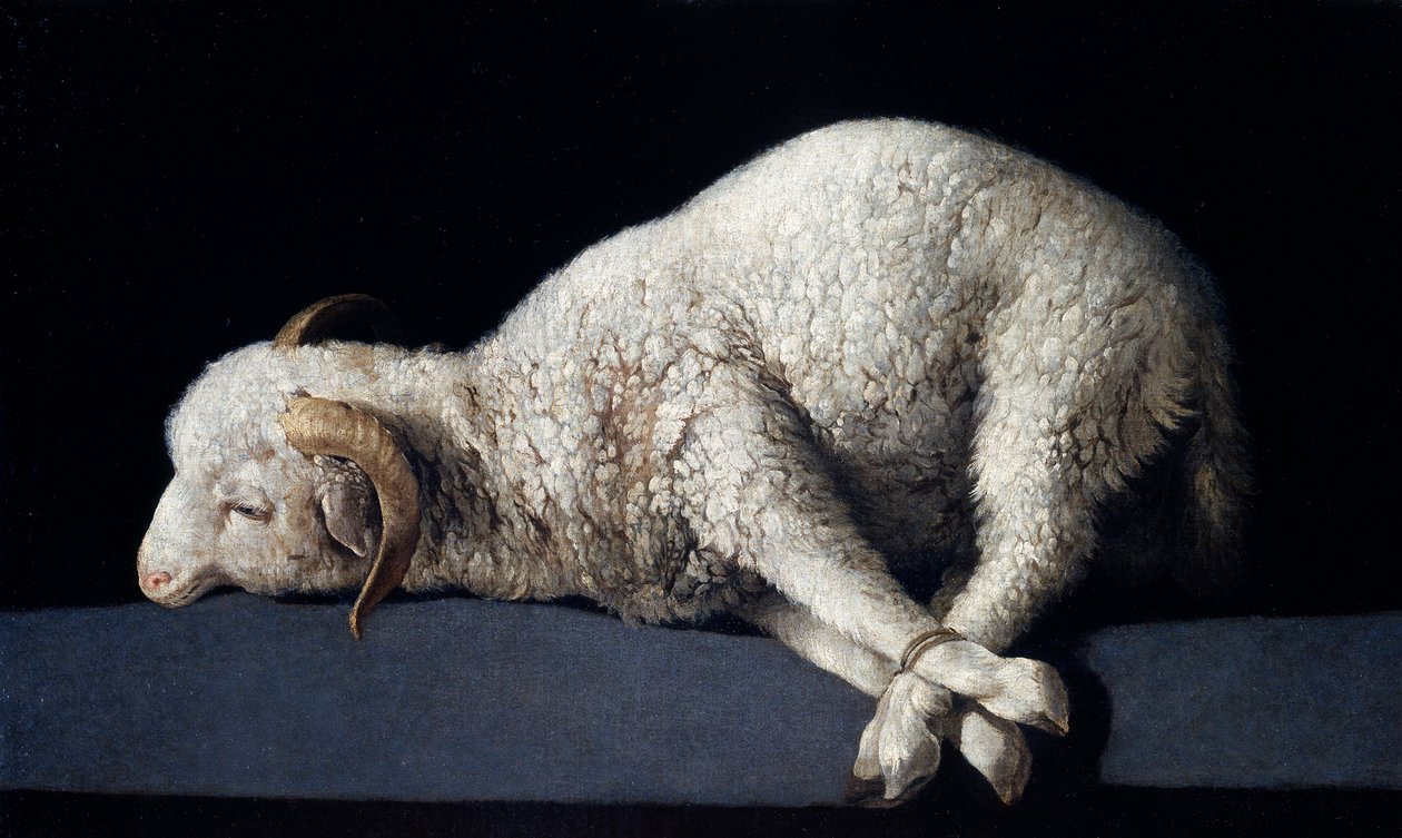 Agnus Dei da Francisco de Zurbaran