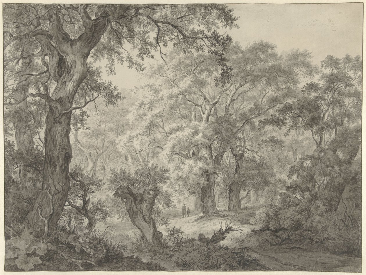 Paesaggio boschivo da Franciscus Andreas Milatz