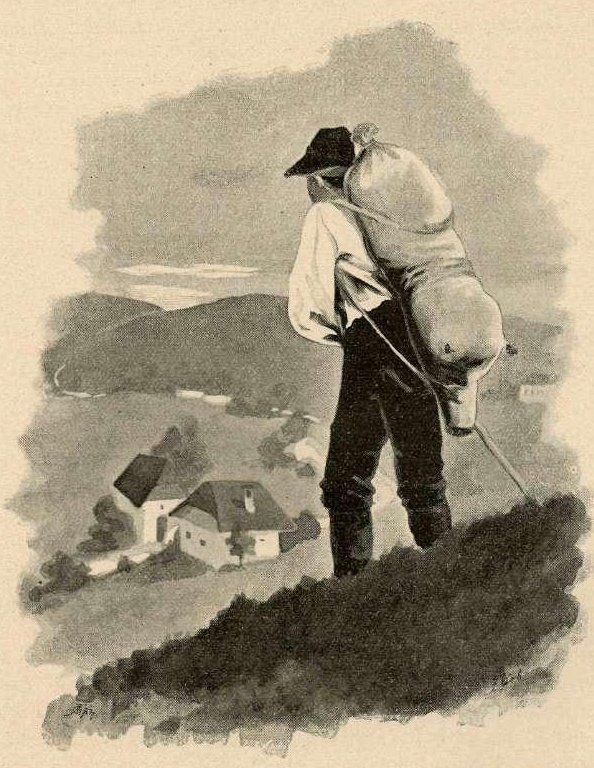 Nel lampone da Francisek Dobnikar
