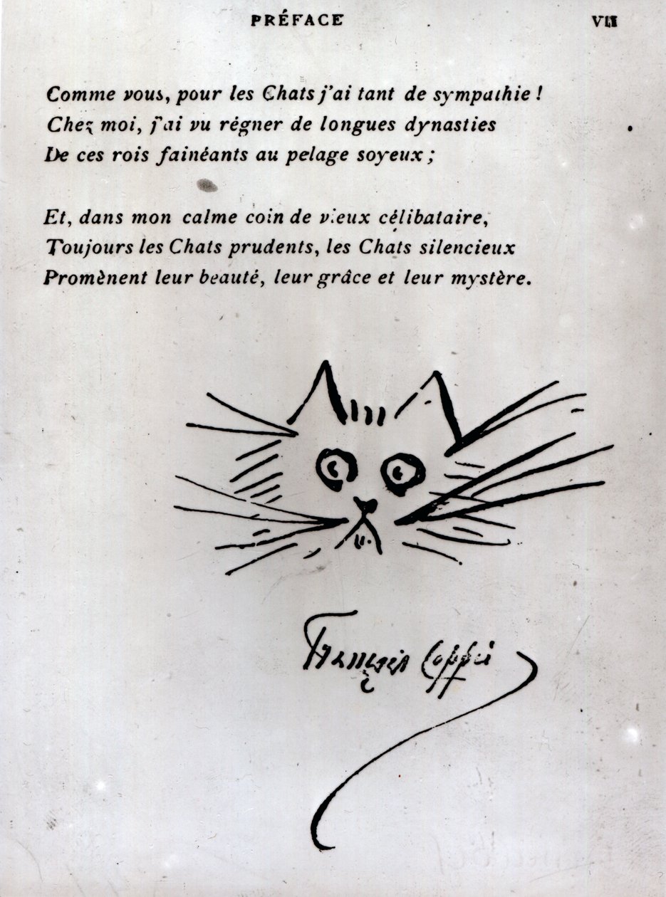 Testa di gatto, illustrazione per una poesia di Francois Coppee da Francois Coppee