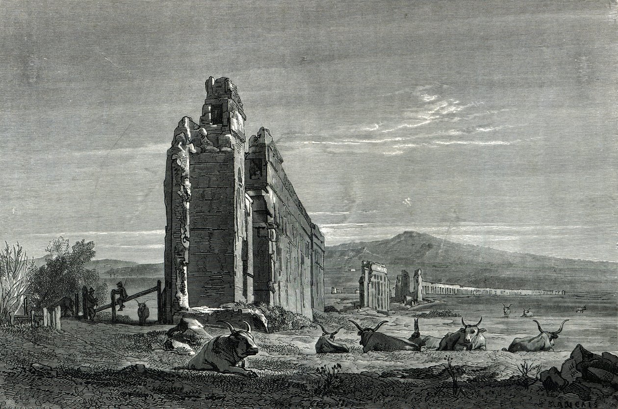 Rovine dell
