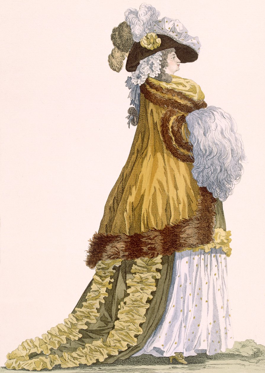 Abito da Opera da Donna con Lussuoso Mantello di Raso con Bordo di Pelliccia, inciso da Dupin, tavola n.217 da 
