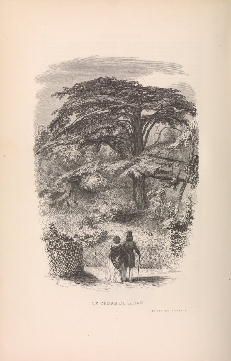 Le Jardin des Plantes, Descrizioni e costumi dei mammiferi da Francois Boitard