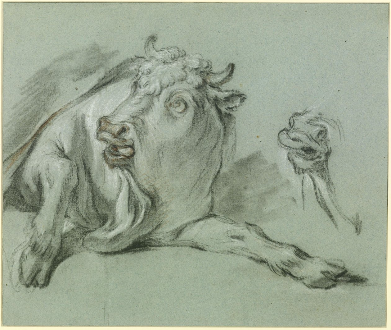 Toro accucciato. Studio per il dipinto "Il ratto di Europa" conservato al Musée du Louvre di Parigi da François Boucher