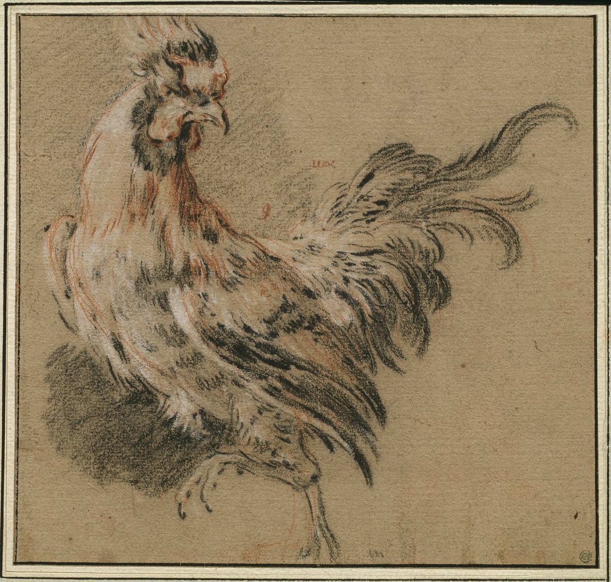 Studio di un gallo da François Boucher