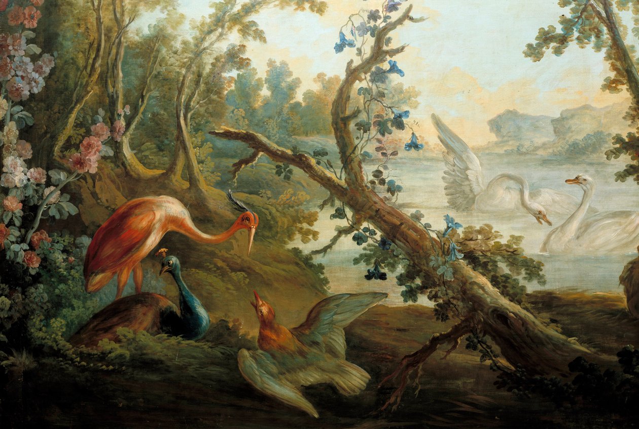 Cigni e pavoni da François Boucher