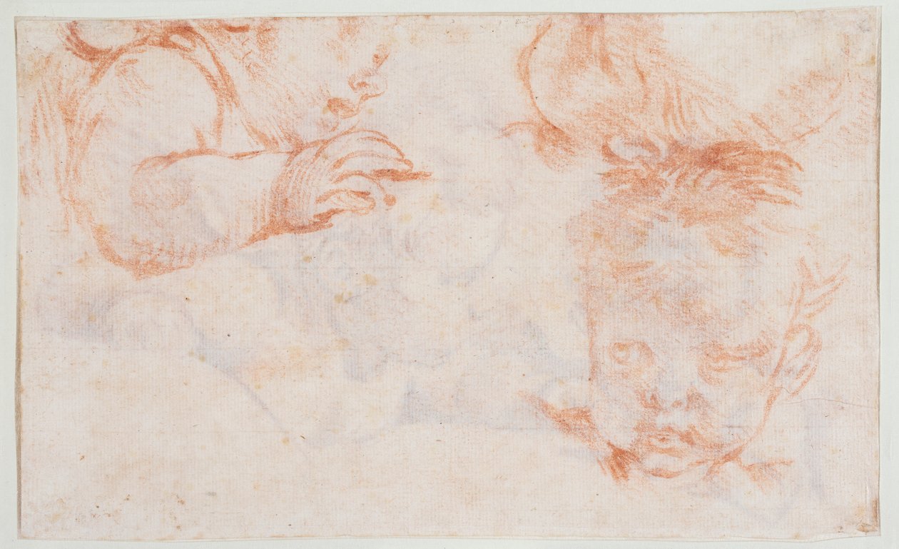 Tre teste di ragazzo. Studi per un pannello da porta ad Amalienborg da François Boucher