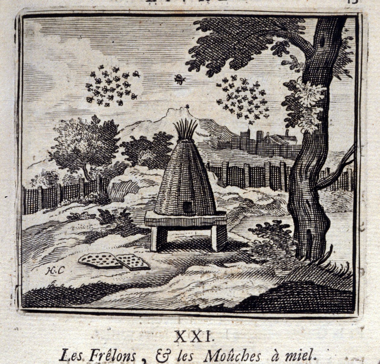 Calabroni e mosche del miele da Francois Chauveau