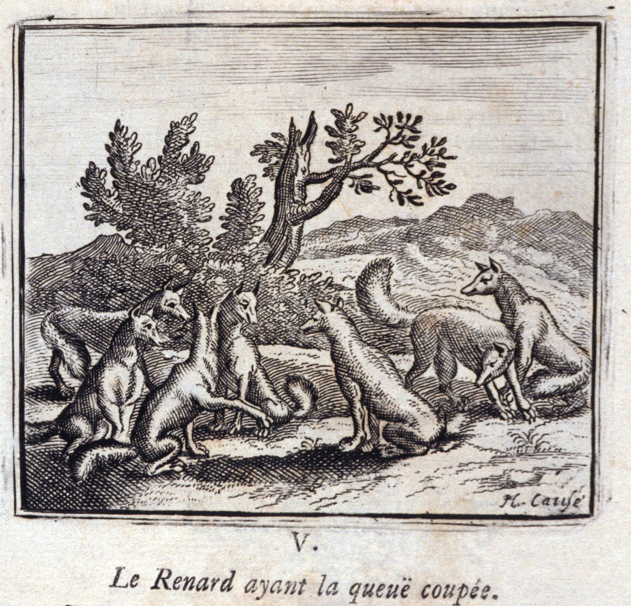 Illustrazione dalle 