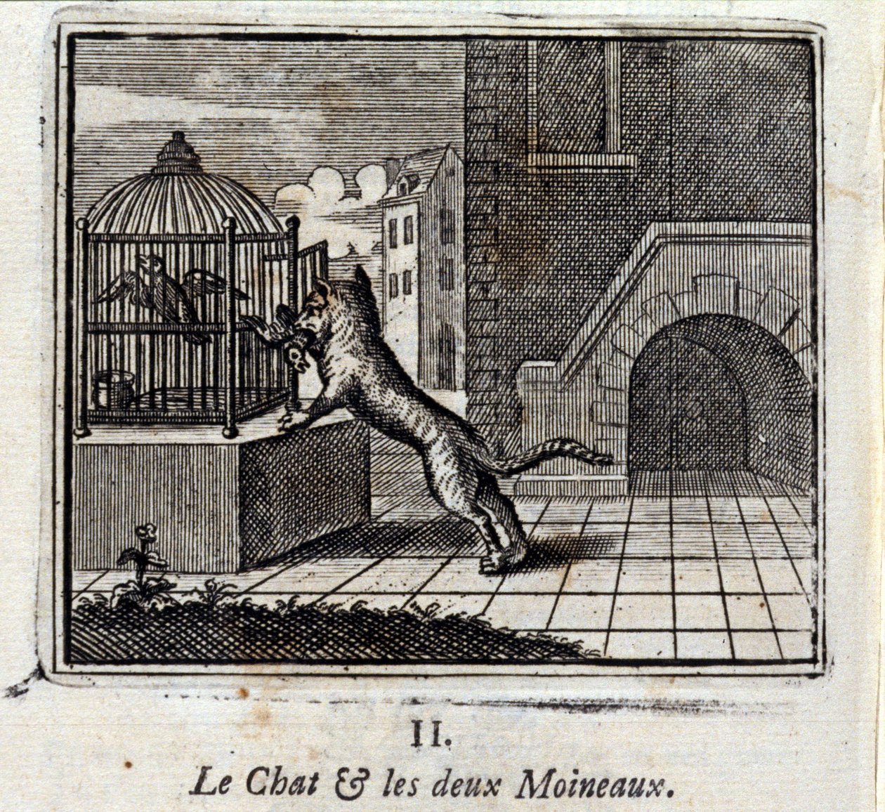Il gatto e i due passeri da Francois Chauveau