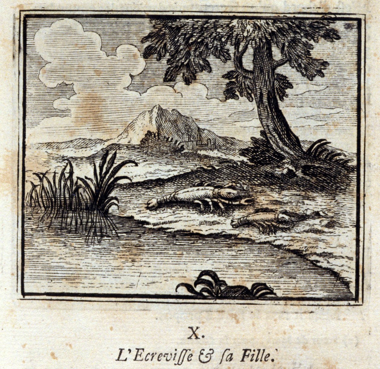 Il gambero e sua figlia. Favole di Jean de La Fontaine. Illustrazione di François Chauveau. Edizione del 1728 da Francois Chauveau