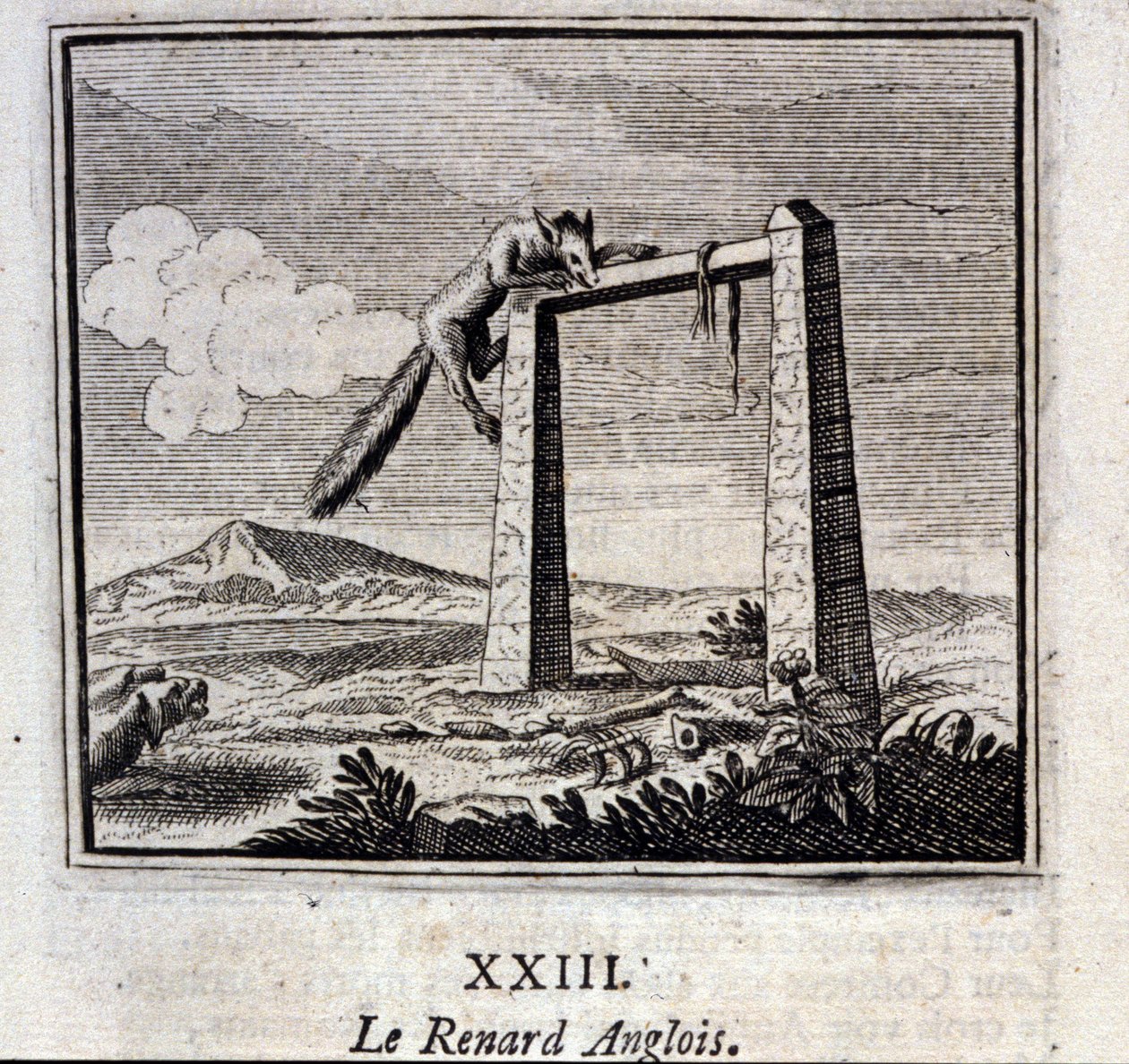 La volpe inglese. Favole di Jean de La Fontaine (1621-95). Illustrazione di François Chauveau (1613-1676). Edizione del 1728. da Francois Chauveau