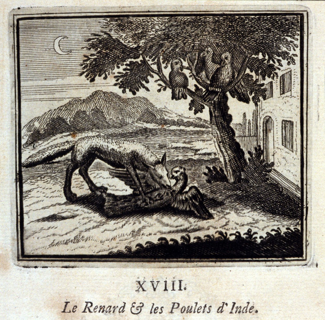 La volpe e i polli d