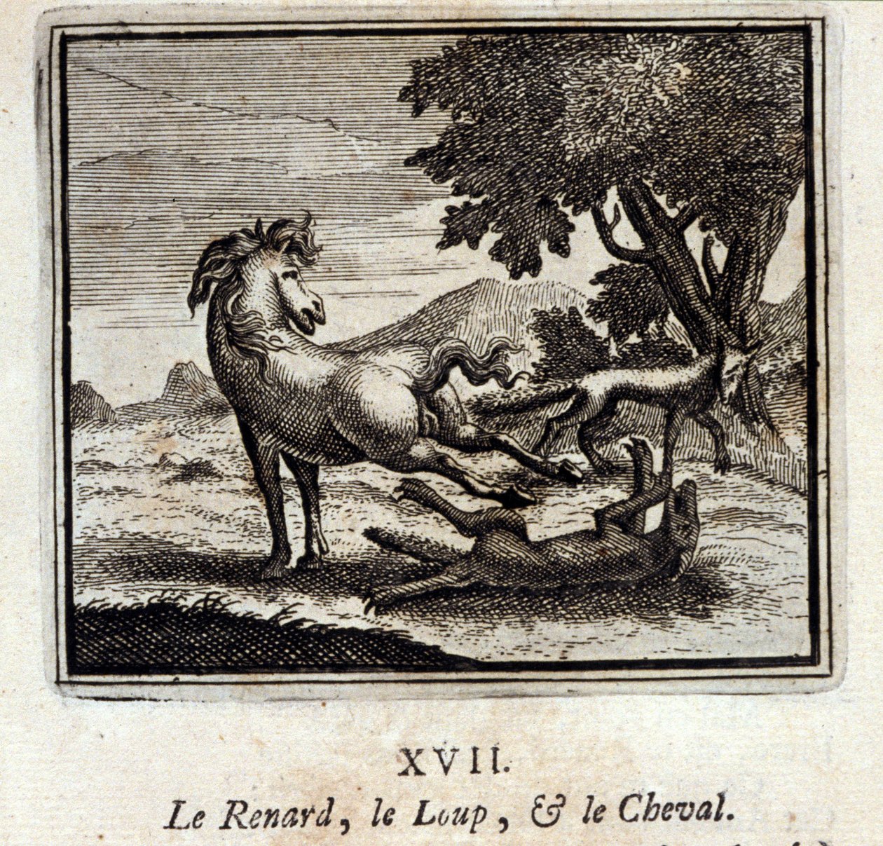La Volpe, il Lupo e il Cavallo. Favole di Jean de La Fontaine (1621-95). Illustrazione di François Chauveau (1613-1676). Edizione del 1728 da Francois Chauveau