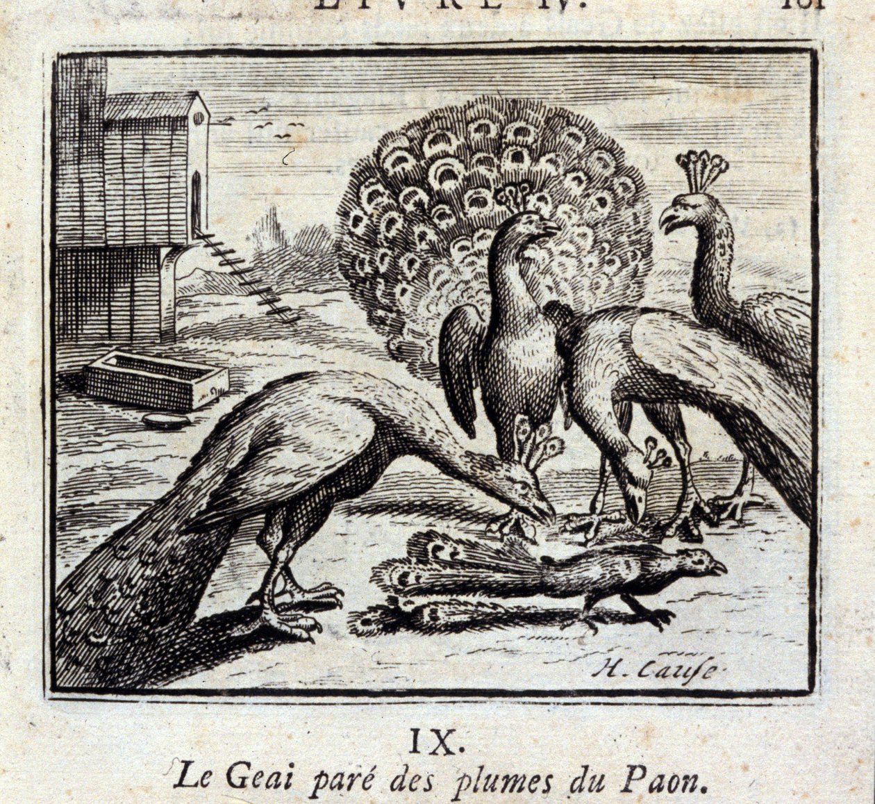 La ghiandaia si adorna di piume di pavone. Favole di Jean de La Fontaine. Illustrazione di François Chauveau. Edizione del 1728. da Francois Chauveau