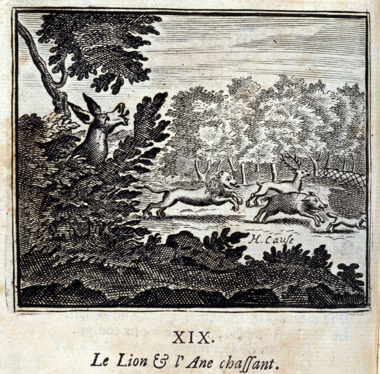 Il leone e l