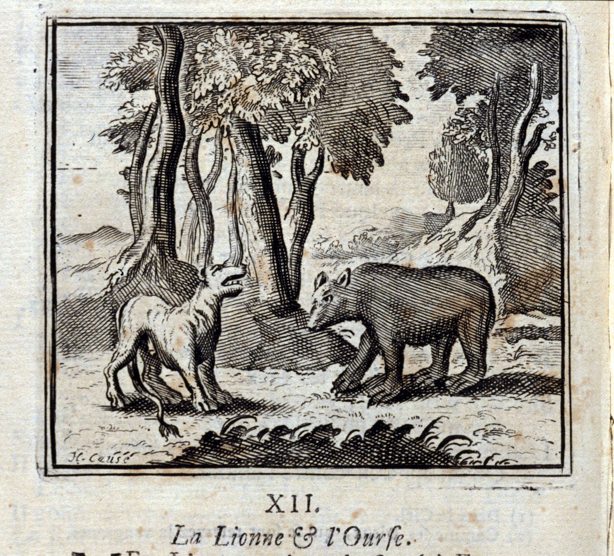 La leonessa e l