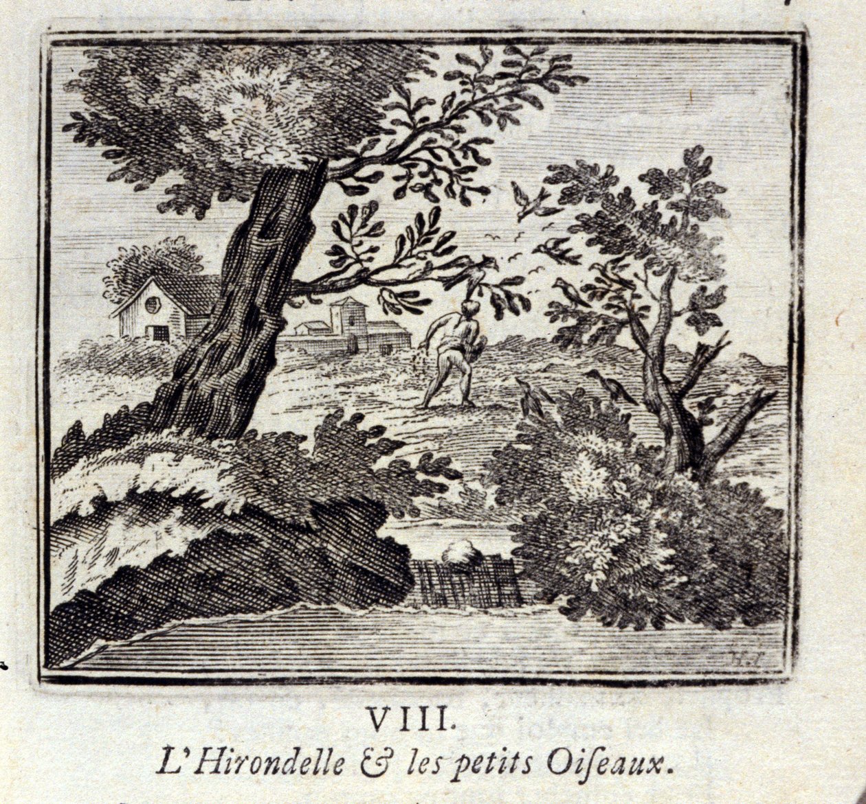 La rondine e i piccoli uccelli. Favole di Jean de La Fontaine. Illustrazione di François Chauveau. Edizione del 1728. da Francois Chauveau