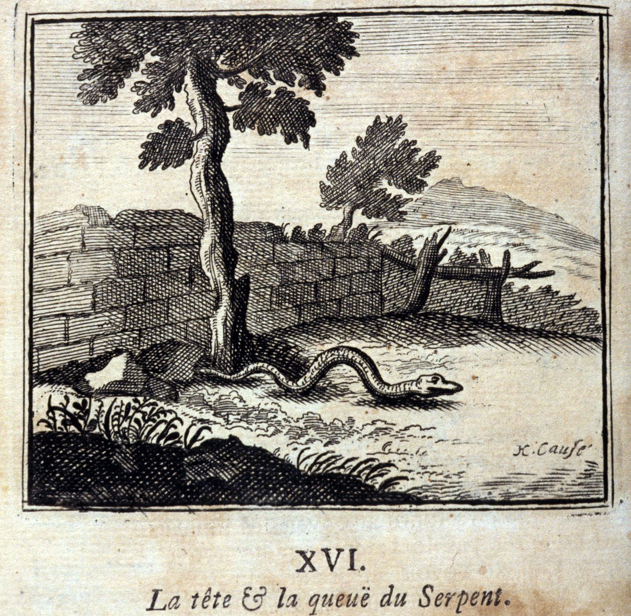 La testa e la coda del serpente. Favole di Jean de La Fontaine (1621-95). Illustrazione di François Chauveau (1613-1676). Edizione del 1728. da Francois Chauveau